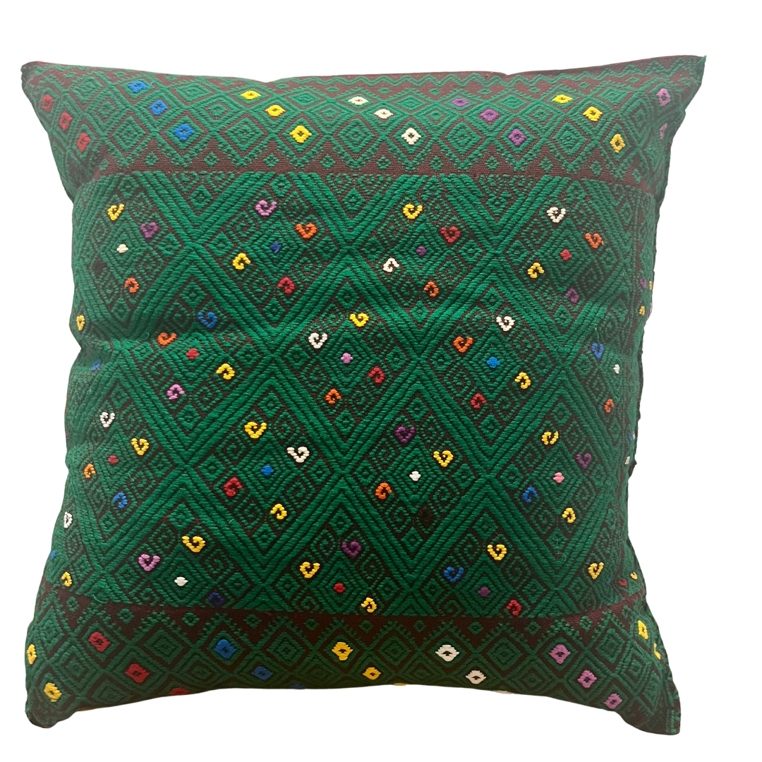 Green Maroon Holbox Throw Pillow- Pink Pueblo Designs 