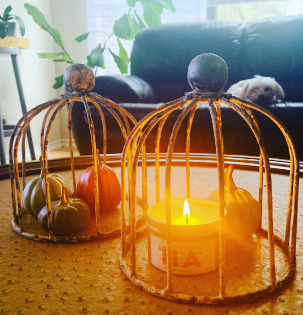 Small White Vintage Cloche with candle lit and small decorative pumpkins